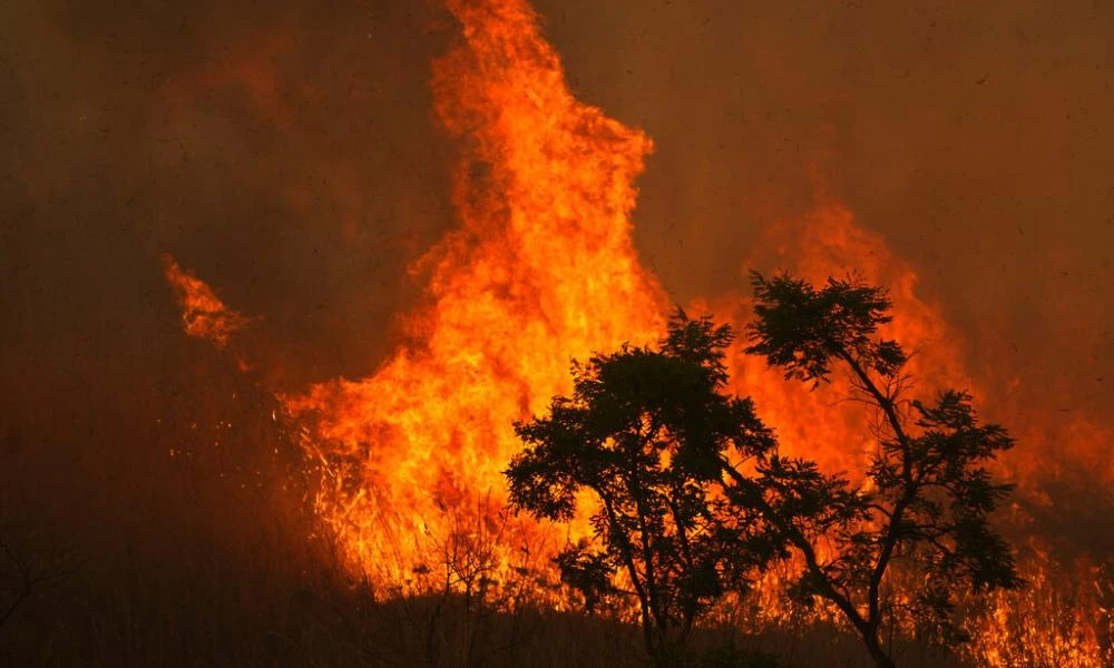 Βραζιλία: Οι χειρότερες πυρκαγιές σε 18 χρόνια για μήνα Μάιο στην Αμαζονία